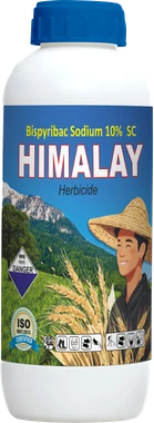 Himalay Bispyribac Sodium 10 WV SC Herbicide