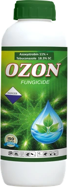 Ozon Azoxystrobin 11 Tebuconazole 18.3 WW SC Fungicide