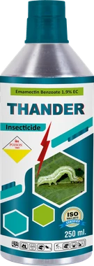 Thander